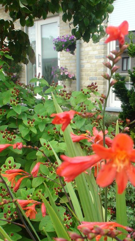 B&B De Watering Lommel Exterior foto