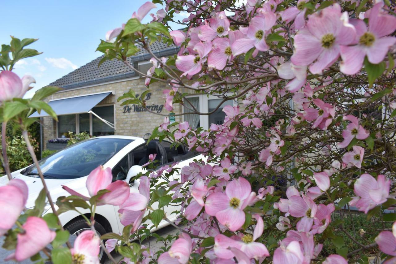 B&B De Watering Lommel Exterior foto